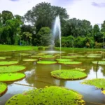 10 The Most Contemporary and Instagrammable Tourist Attractions in Bogor